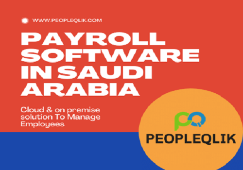 How Much Does Payroll Software in Saudi Arabia Cost? 2021 Pricing Guide