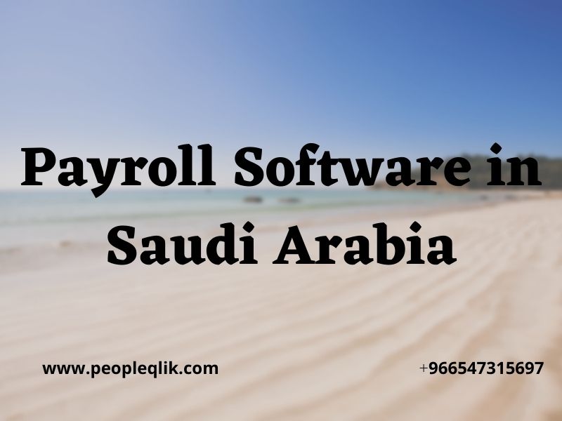 Payroll software in Saudi Arabia