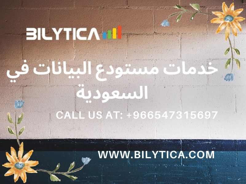 Analytics Databases Is Fastest And Best خدمات مستودع البيانات في السعوديةAnalytics Databases Is Fastest And Best خدمات مستودع البيانات في السعودية
