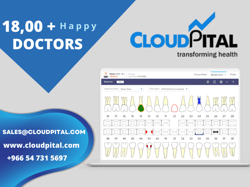 Does doctor Software in Saudi Arabia offer support and training?